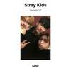 Stray Kids Ich bin KEINE offizielle Fotokarte