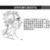 Vaje - Tiger Wooden Scalp Massage Comb