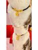 Pet New Year Collar: Adjustable Longevity Lock Necklace for Cats & Small Dogs