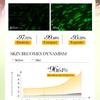 Vitamin Series Serum 40ml Antioxidant Hydrating Moisturizing Serum Skin Care Products
