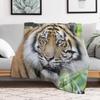 Sumatran Tiger face at Zoo Throw Blanket Foldable Soft Warm Blanket for Outdoor Use
