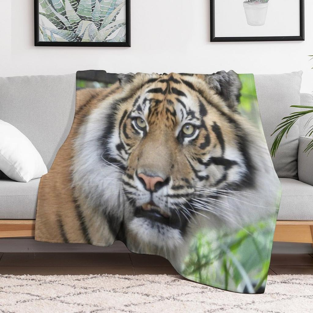 Sumatran Tiger face at Zoo Throw Blanket Foldable Soft Warm Blanket for Outdoor Use