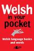 Libro Welsh In Your Pocket : 1