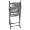 Folding Garden Chairs 2 pcs with Seat Cushions Solid Acacia Wood