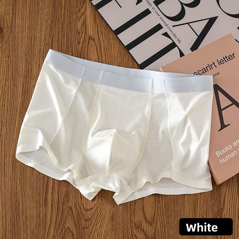 Large-sized Men's Summer Thin and Fashionable New Ice Silk Breathable Mesh Briefs