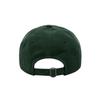 DEINET DEINET LOGO CAP IN GREEN