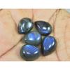 12X16MM Natural Labradorite Blue Fire Pear Cabochon Loose Gemstone 5Pcs Lot C-1100
