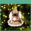 Creative Angel Wing Dog Christmas Decoration Acrylic/organic Glass Cartoon Style