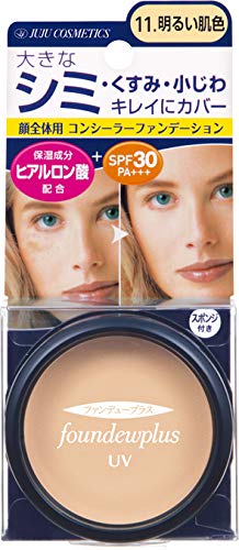 Kobayashi Pharmaceutical Fundew Plus R UV Concealer Foundation 11g (x 1)