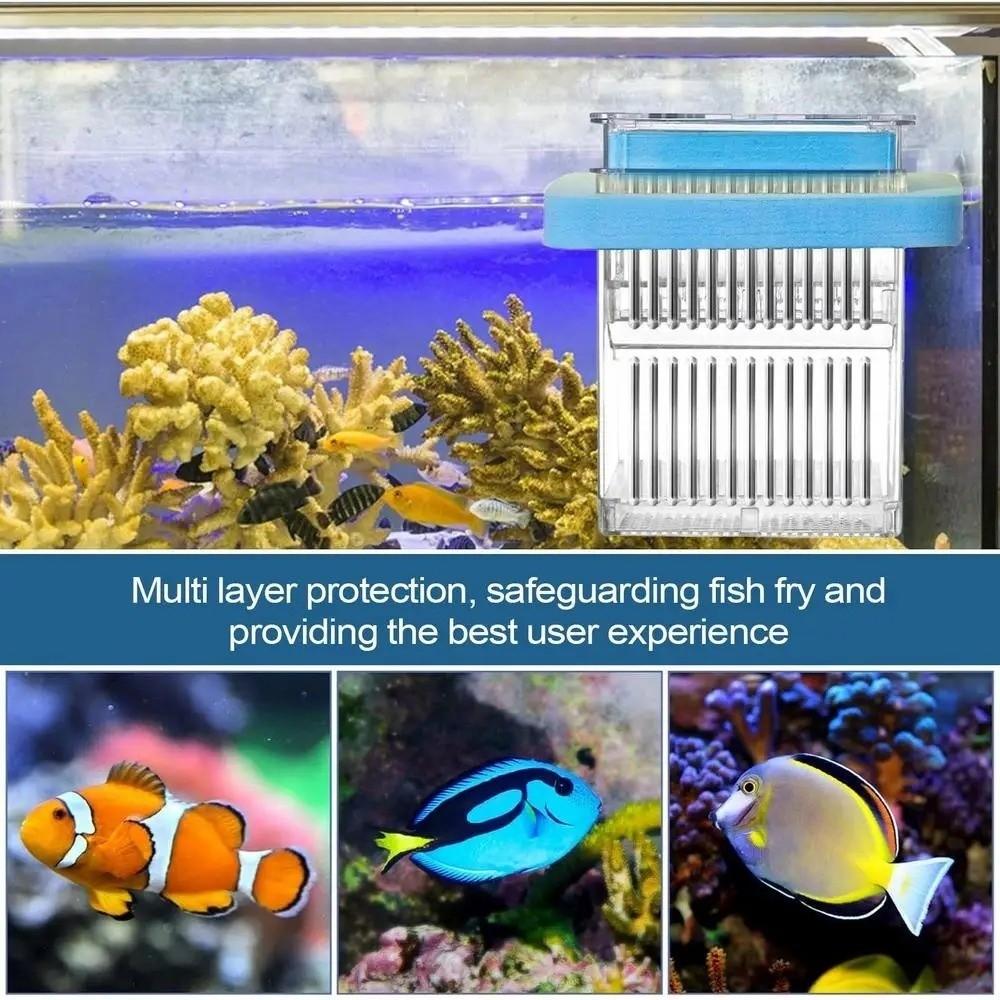 Detachable Guppy Breeder Box Transparent Fish Tank Divider Floating Hatching Box  Fish Breeding