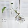 1Pcs Creative Hanging Glass Vase Transparent Hydroponic Container Terrarium Flower Plant Pot Garden Home Wedding Decoration