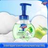 Safeguard Foaming Antibacterial Hand Wash - Aloe, 300g