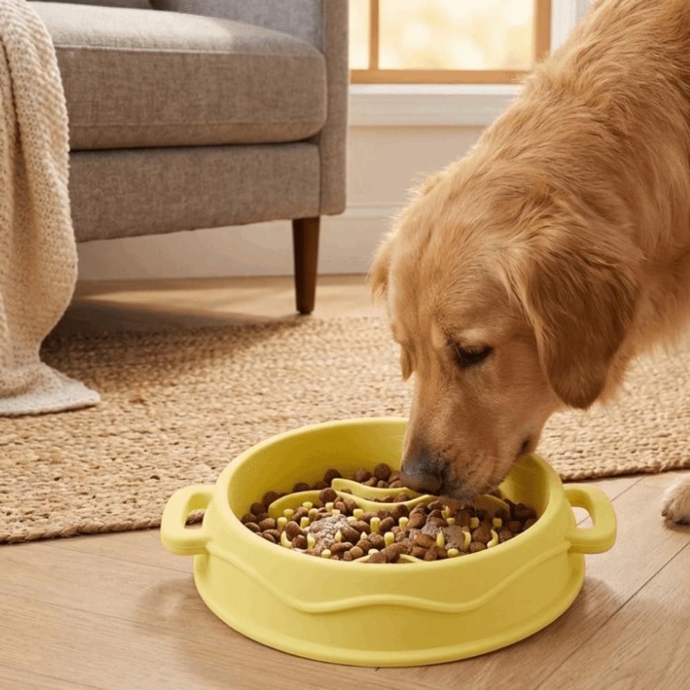 Silicone Dog Slow Feeder Bowl Non-Slip Dog Treat Bowl Colorful Pet Food Dish  Pet Enrichment