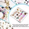 16-Grid Seashell Display Box Acrylic with Magnets Seashell Storage Box Durable Starfishs Trinket Storage Case
