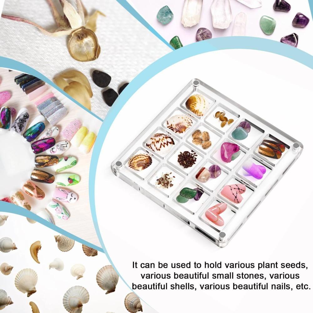 16-Grid Seashell Display Box Acrylic with Magnets Seashell Storage Box Durable Starfishs Trinket Storage Case