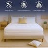 The White Stone Hypoallergenic Foam Mattress, Height 18 Cm | and Hypoallergenic