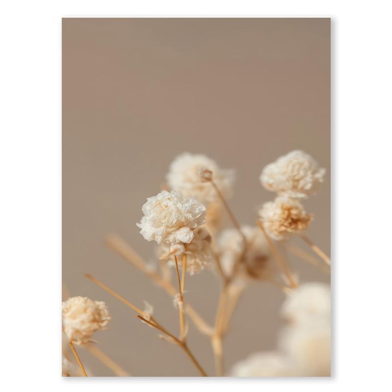 

Nordic Autumn Landscape Poster Reed Daisy Plant Canvas Painting Pastoral Aesthetic Printing Picture Living Room Home Decoration 21x30cm No Framed