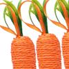 Carrot Decor Set for Easter Celebrations