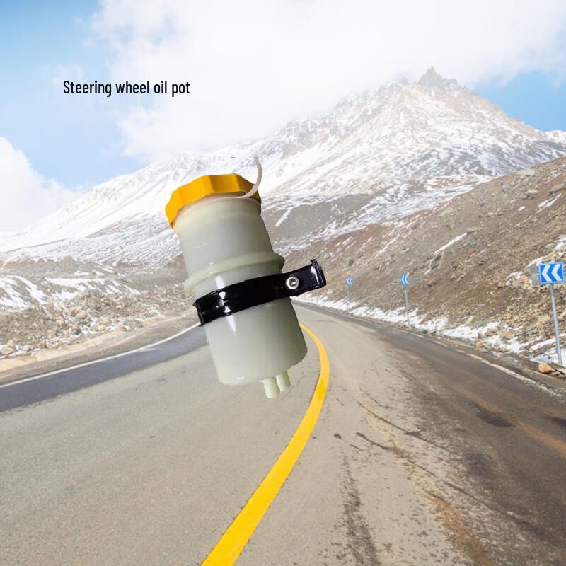 Maiguan Power Steering Fluid Reservoir
