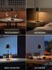 LED Table Lamp Portable touch Desk Lamp Rechargeable Vintage Lamp for Restaurant Bedroom BarsCamping Coffee Shop Night Light