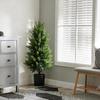 Detachable Cedar Pine & Cypress Potted Green Plants for Home Decoration - Pure PE Christmas Tree