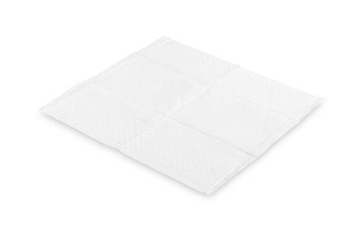 Disposable Pad 60X60 Pack of 10 Pcs