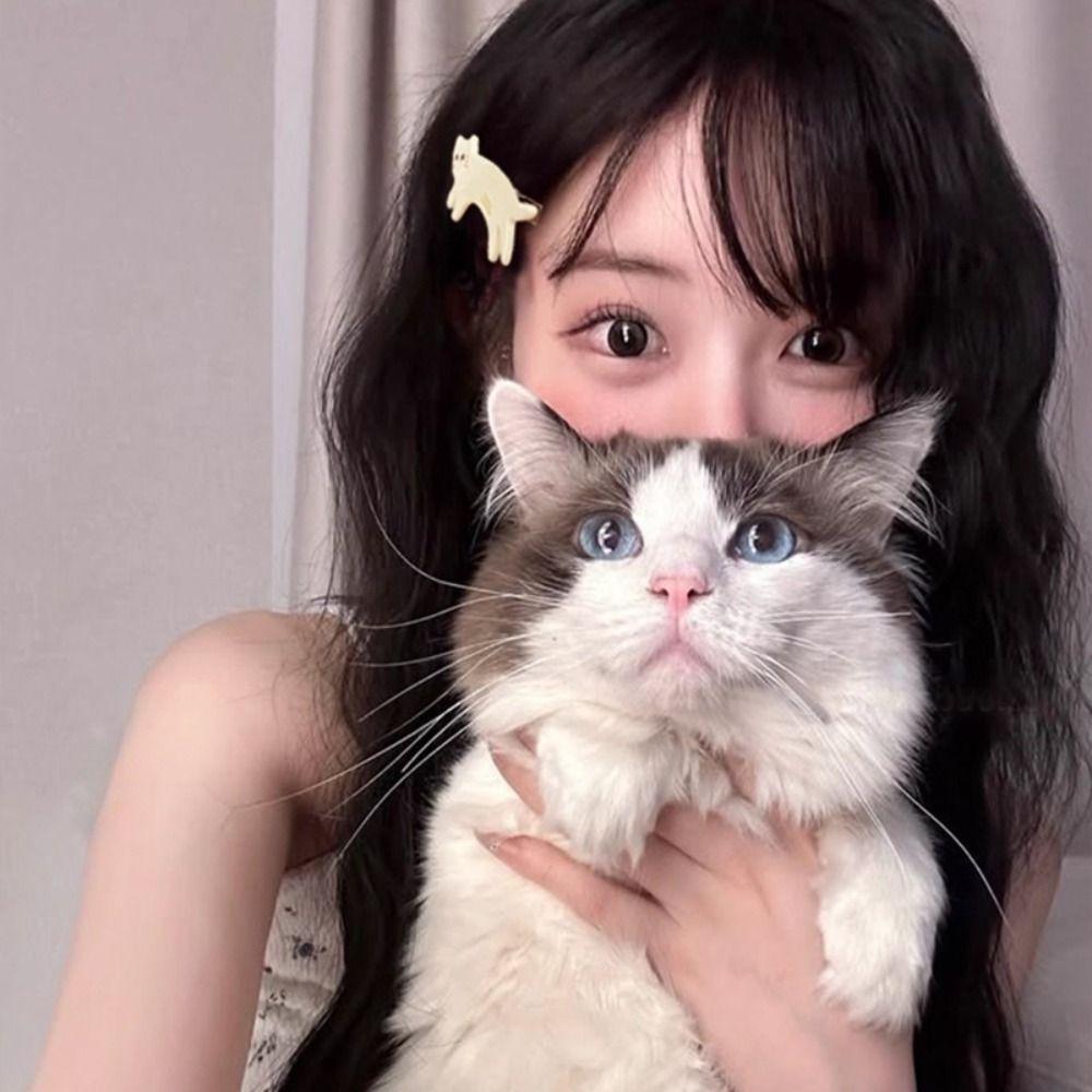 Small Cat Shaped Hair Clip Acetic Acid Cute Side Clip Cute Animals Hairpin  Streetwear