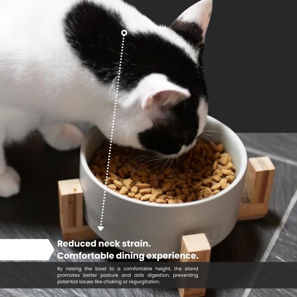 Ceramic Cat Bowl Dog Feeding Bowls Pet Feeder with Wood Stand For Cats Puppy Food Water Storage Feeding Accessories Pet Supplies