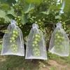 Breathable Fruit Protection Mesh Bag for Melons, Strawberries, Figs, Grapes, and Peaches - Anti-Bird Cover