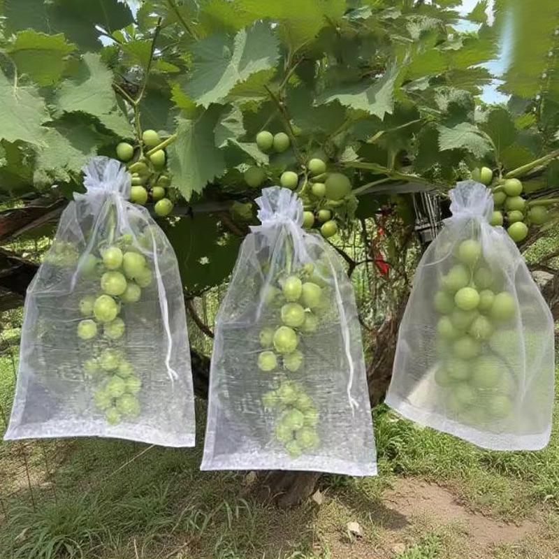 Breathable Fruit Protection Mesh Bag for Melons, Strawberries, Figs, Grapes, and Peaches - Anti-Bird Cover