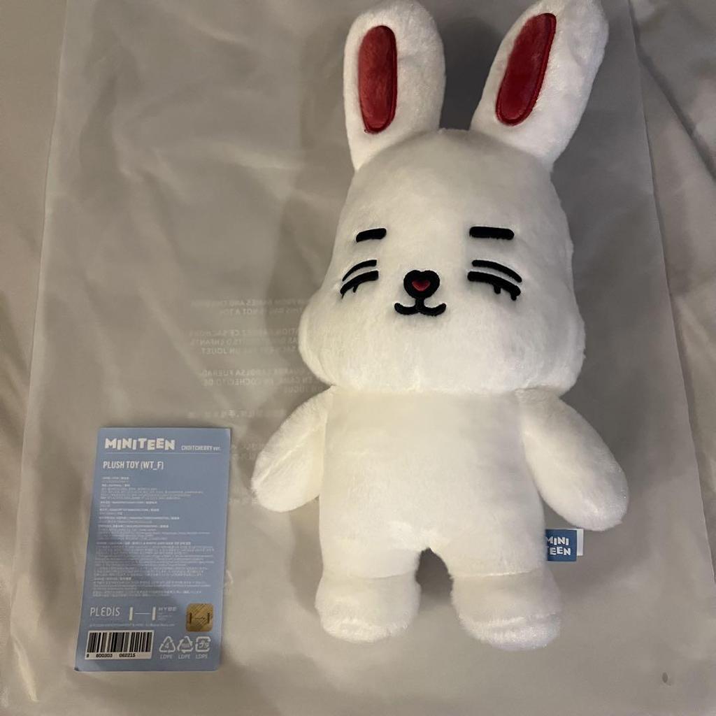 [USED] Seventeen Korea Pop-up Plush Toy Coups