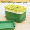 Seed Sprout Tray Garden Hydroponic Peanut Sprouting Box Mini Greenhouse Germination Kits Germination Soilless Planting Pot