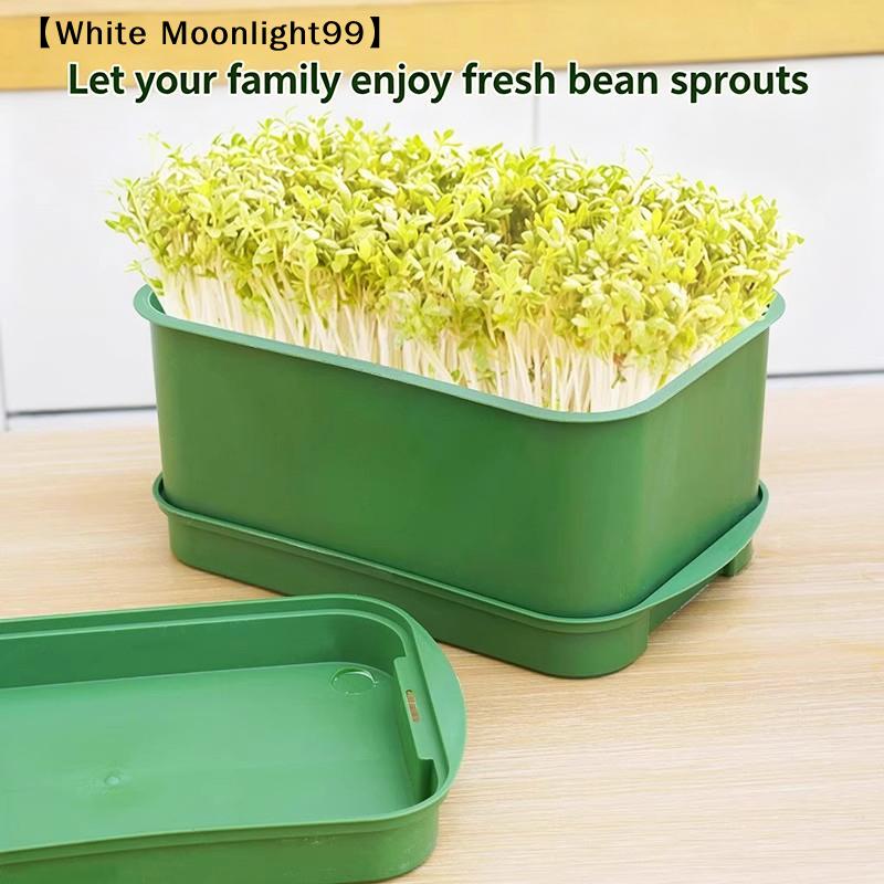 Seed Sprout Tray Garden Hydroponic Peanut Sprouting Box Mini Greenhouse Germination Kits Germination Soilless Planting Pot