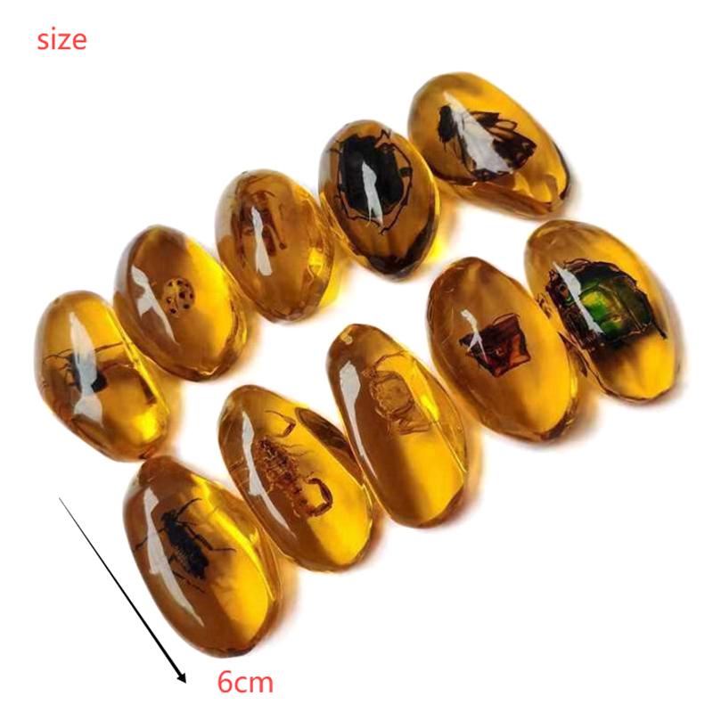 1Pc Insects Amber Gemstone Scorpion Natural Mineral Home Decor Insects Amber Gemstone Diy Hand Crafts Gift