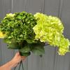 Simulation 5 Heads French Hydrangeas Branch Silk Fake Flowers Restaurant Decoration Champagne Hydrangea Artificial Flower