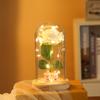 Creative new Valentine's Day gifts, rose eternal flower lighting, party event decoration atmosphere lights