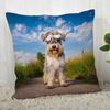 Pillow Cover Customize Schnauzer Pillow Case Modern Home Decorative Pillowcase For Living Room 45X45Cm,40X40Cm A.4.29