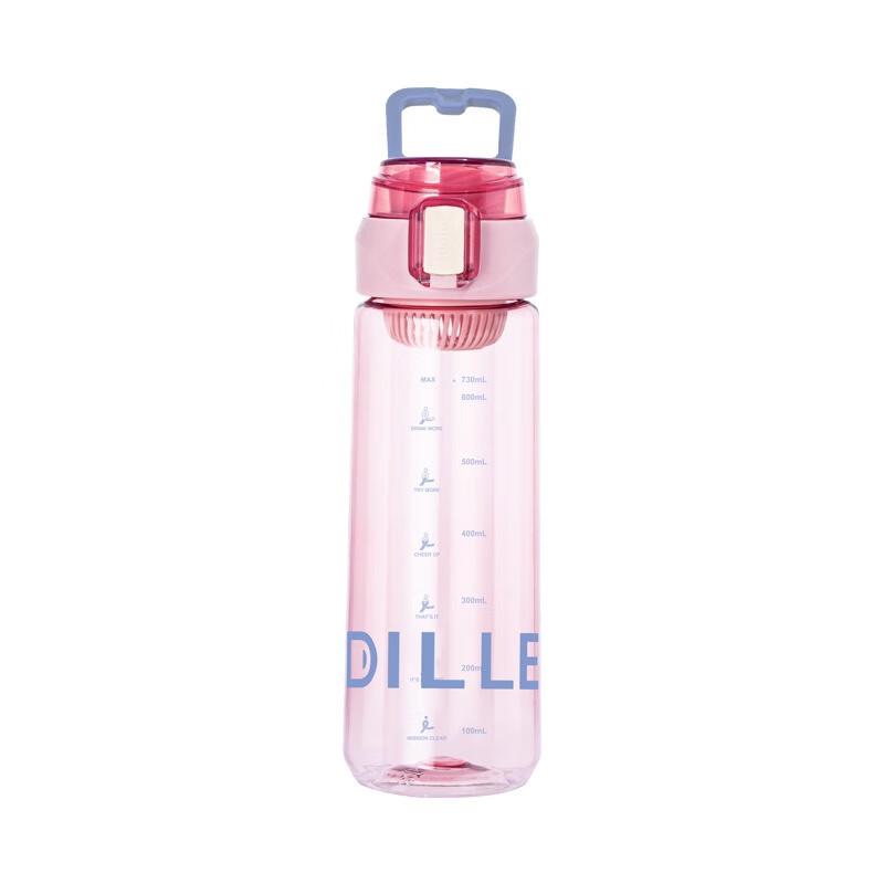Diller Insulated Water Bottle with Tea Infuser