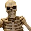 Resin Skull Tray Rings Holder Jewelry Box Dish for Party Entrance Office Decor Holds Candy