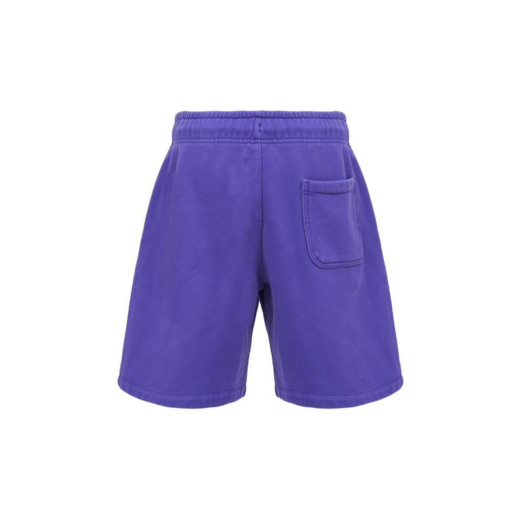 Jordan Air Jordan X Wordmark Casual Shorts Men's Purple DV6468-514