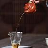 Authentic Handmade Yixing Zisha Red Clay Gongfu Tea Set