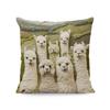 Modern Vintage Alpaca Print Zippered Pillowcase for Home Decor