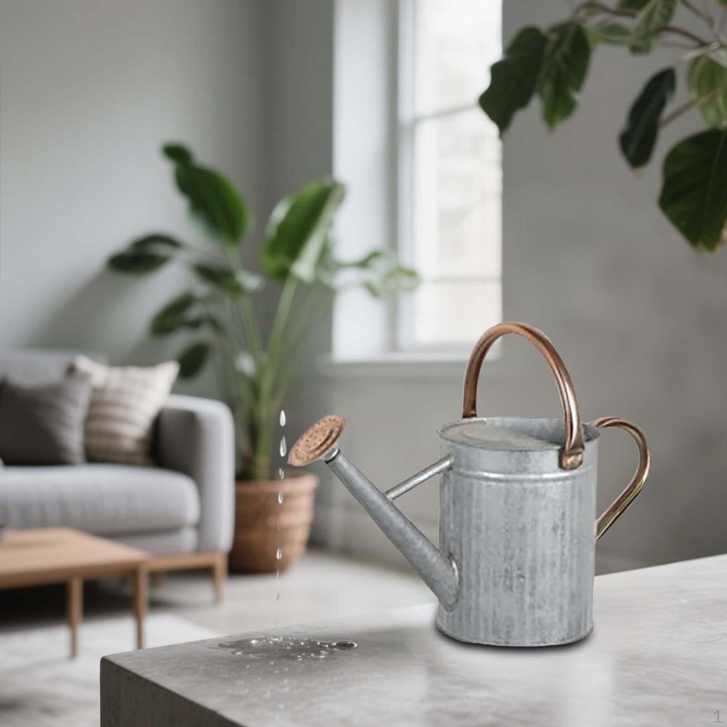 Indoor Plant Watering Can with Large Opening and Detachable Spout, Design