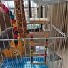 Wood Parrot Toys Bird Toy Cage Bird Accessories Swing Suspension Bridge Ball Cage Bells Pet Supplies Set