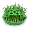 Compact Spring Onion Regrow Planter Countertop Hydroponic Regrow Station Removable Inner Tray & Lid Easy Kitchen Regrowing