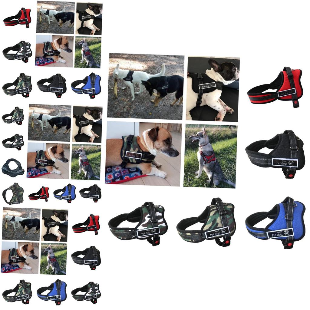 Premium Quality Pet Chest Harness And Leash For Medium To Large Dogs Adjustable Durable And Stylish