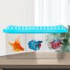 Acrylic Fish Tank Detachable 3 Areas Small Aquarium Desktop Ornamental Transparent Fish Tank for Hom