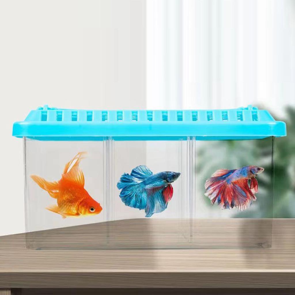 Acrylic Fish Tank Detachable 3 Areas Small Aquarium Desktop Ornamental Transparent Fish Tank for Hom