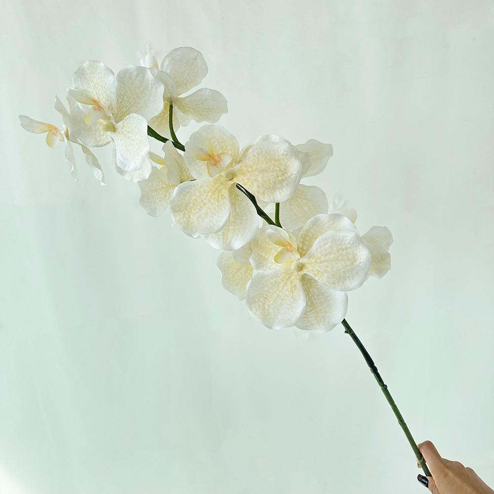 Schmetterlingsorchidee Seidenblumen Dekoration für Zuhause Hotel Lounge Auslage