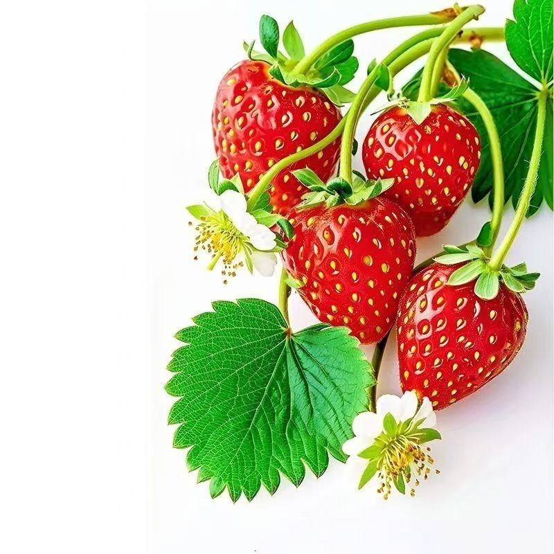 Strawberry Pattern Waterproof Kitchen & Dining Room Sticker - Self-Adhesive for Refrigerator, Glass Door, or Window